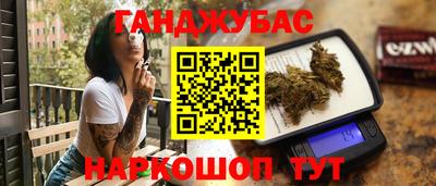 ECSTASY Гай