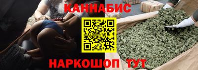 дмт Гатчина