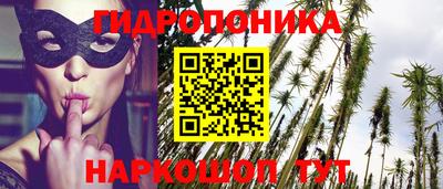 дмт Гатчина
