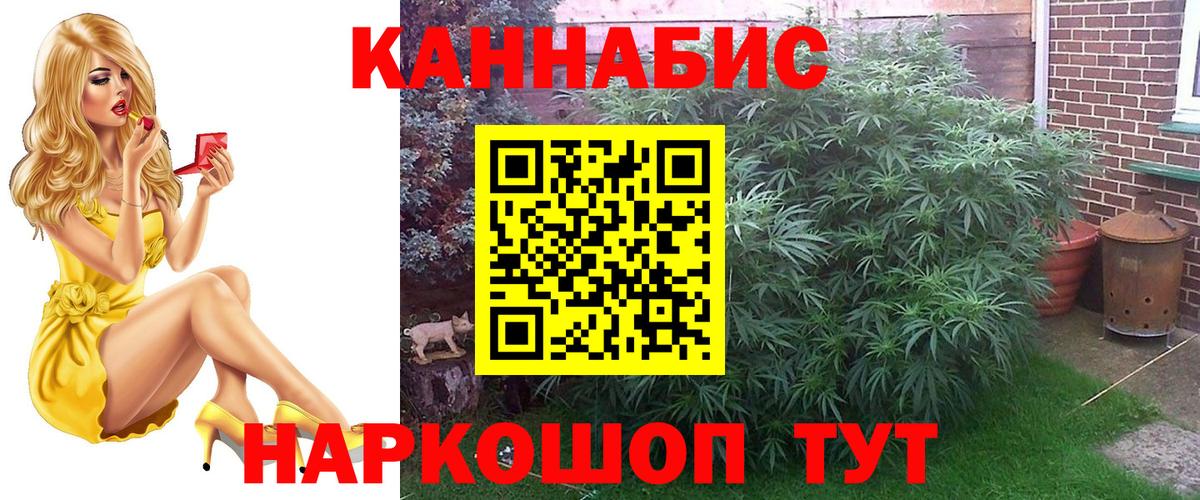 Конопля OG Kush  Шишки марихуана план  Мурманск  Вход с VPN  Шишки марихуана гибрид 